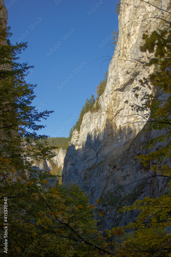 Rocks and blue sky in the mountains on a sunny day with a forest