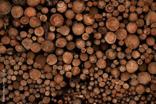 Panel kuchenny z motywem Background of cut wood logs stacked in a pile. wood for the production of chipboard
