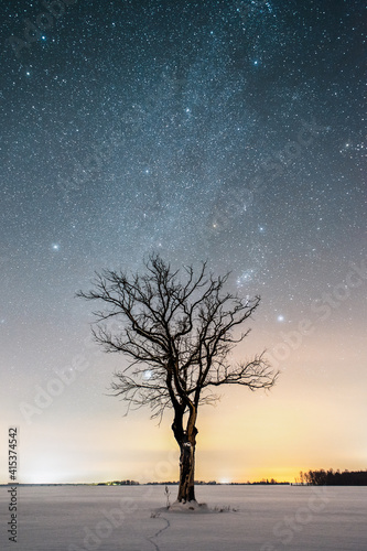 Winter astrophotography with snow. Milky way in the night sky. Starry sky and dark silhouettes of trees with Sirius star  Orion constellation. Light pollution. Lithuania  Europe. High iso pollution.