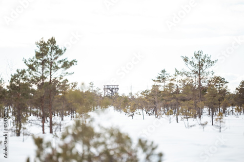 Bird watching tower in a swamp or nature park in winter in Kemeri
