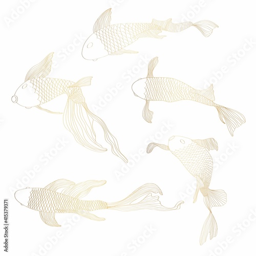 Golden fish set, hand drawing. Beautiful Japanese Koi carps fish on a white background. Fish for tattoo or wallpaper. 