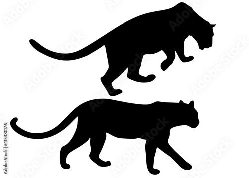 Panthers in the set. Wild and dangerous animals.