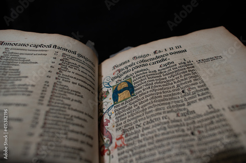 A lavishly illustrated book published in 1510 by Froben and Amerbach on the Carthusians. This book has hand coloured wood engravings and illuminated gold leaf initials. It is printed with Latin text.