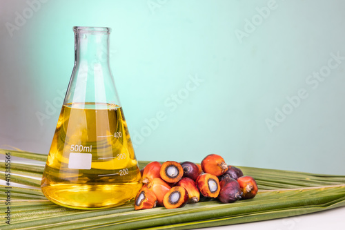 Oil palm fruits with biofuel in beaker in laboratory with green backgound