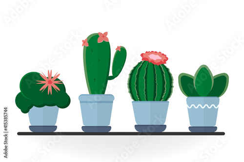Home plants, cactus, succulent in pots. Home gardening set. Simple flat illustration