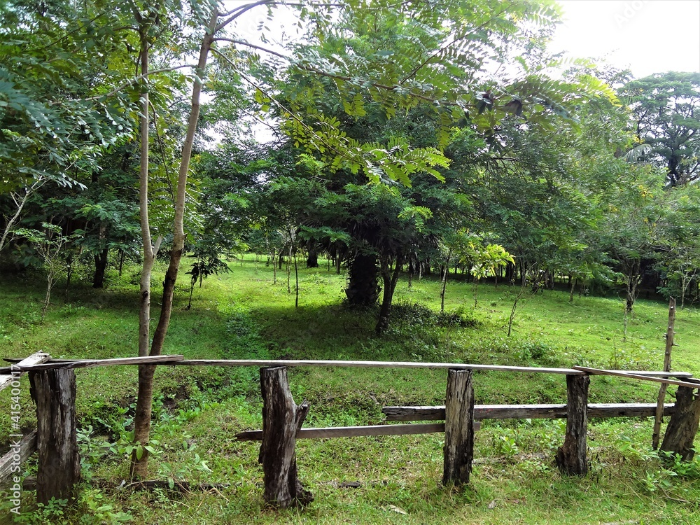 Landmine field at Beng Mealea temple in Cambodia, Asia, UNESCO World ...