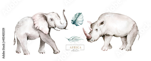 Watercolor African elephant animal and rhinoceros isolated on white background. Savannah rhipo wildlife cartoon zoo safari poster. Jungle decoration