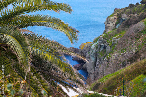 Close up palm trees near the cliff with an ocean view in the back ground.