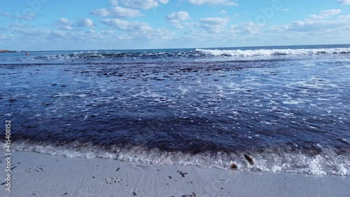 Small waves roll onto the shore with bundles of algae. Villasimius, Sardinia island