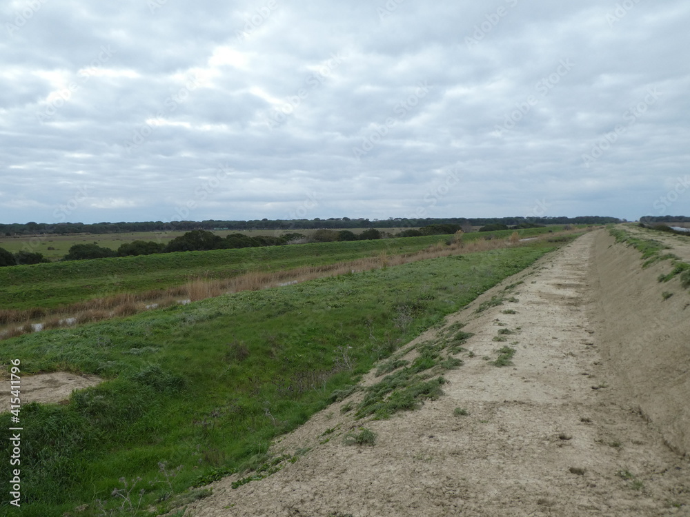 Panorama Panorama