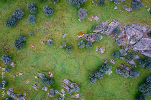 Old circles.. Aerial view of the Dehesa de la Luz. Extremadura. Spain.