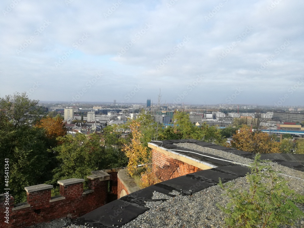 Fototapeta premium Panorama i widoki na miasto Kraków