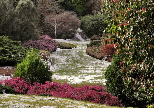 English Winter heather garden photo