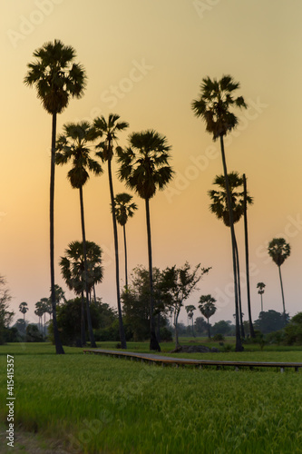 Dongtan Sam Khok, Pathum Thani, watching the sunset view