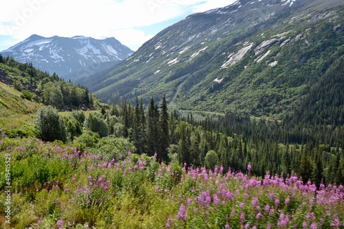 View of the Alaskan Summer Countryside from the White Pass Rail near Skagway Alaska