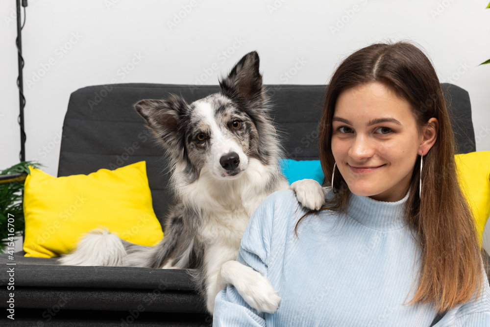 The smiling dog sitter is sitting on the floor and the dog is lying on the sofa and paws on her shoulder. Intelligent Border Collie Sheepdog. Modern interior design of the apartment.