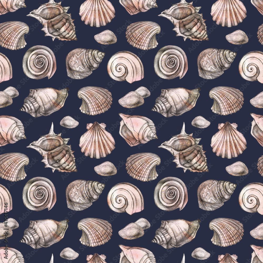 Beautiful seashells. Seamless pattern. Hand drawing. Beautiful seashells. Seamless pattern. Hand drawing.