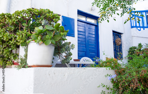 Fototapeta Naklejka Na Ścianę i Meble -  Potted  plants neat greek house with typical whire colo of walls and  blue  color of doors and windows. Idyllic greek island Mykonos! 