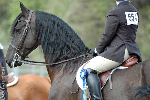 horse and rider Blue Ribbon