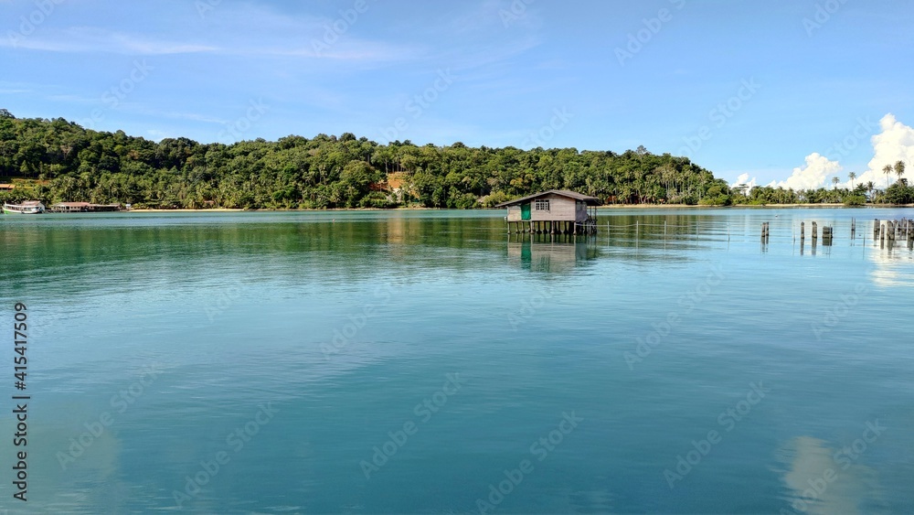 lake in the forest