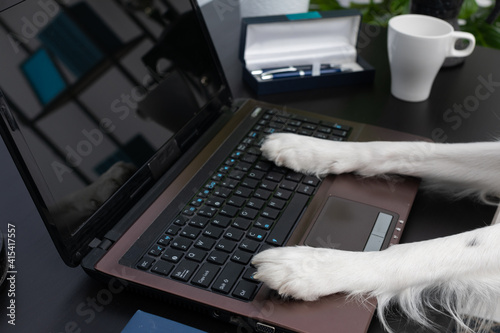 Картината върху платно A dog sits in front of the laptop and handles the computer with his paws