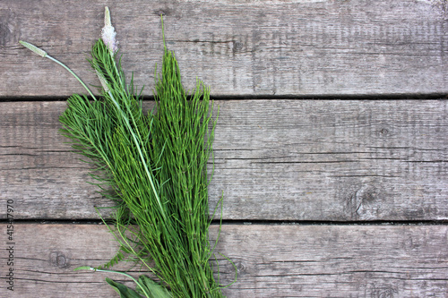 Summer herbs on wooden background with copy space. Bunch of green wild plants on rustic textured table. Midsummer flower table decor. Flowers flat lay composition