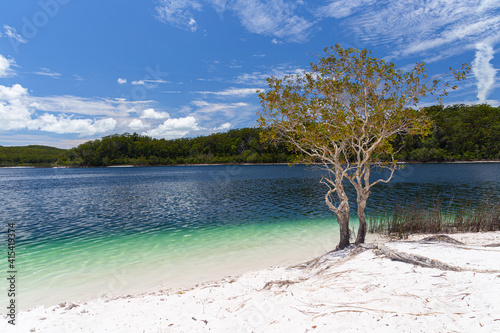 Lake McKenzie on Fraser Island in Queensland, Australia © Julia Hermann