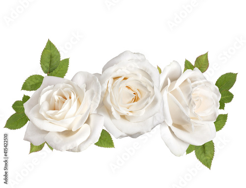 three white rose flower heads with leaves isolated on white background cutout