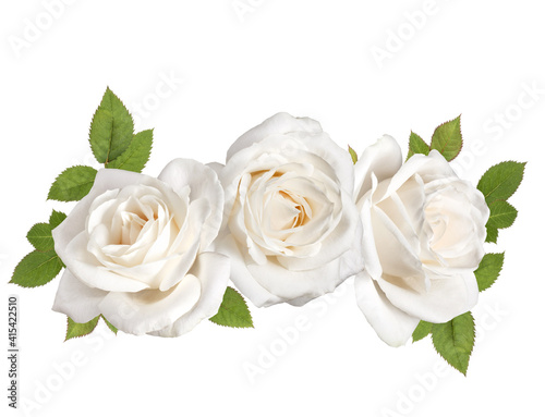 Fototapeta Naklejka Na Ścianę i Meble -  three white rose flower heads with leaves isolated on white background cutout