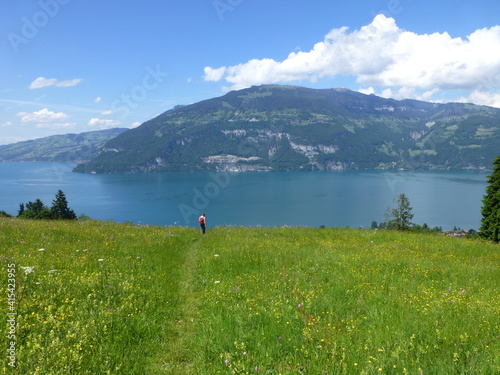 View across flower meadow towards Thunersee, Switzerland on a sunny late Spring day