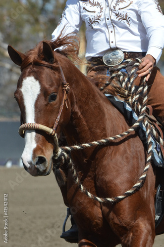 Horse and Rider Rodeo Western