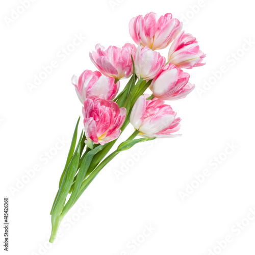 Fototapeta Naklejka Na Ścianę i Meble -  Bouquet of spring pink tulips flowers isolated on white background closeup. Flowers bunch in air, without shadow. Top view, flat lay.