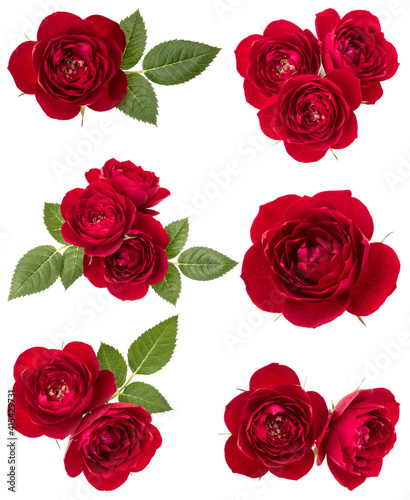 Collection of red roses isolated over white background. Set of different bouquet. Flat lay  top view.