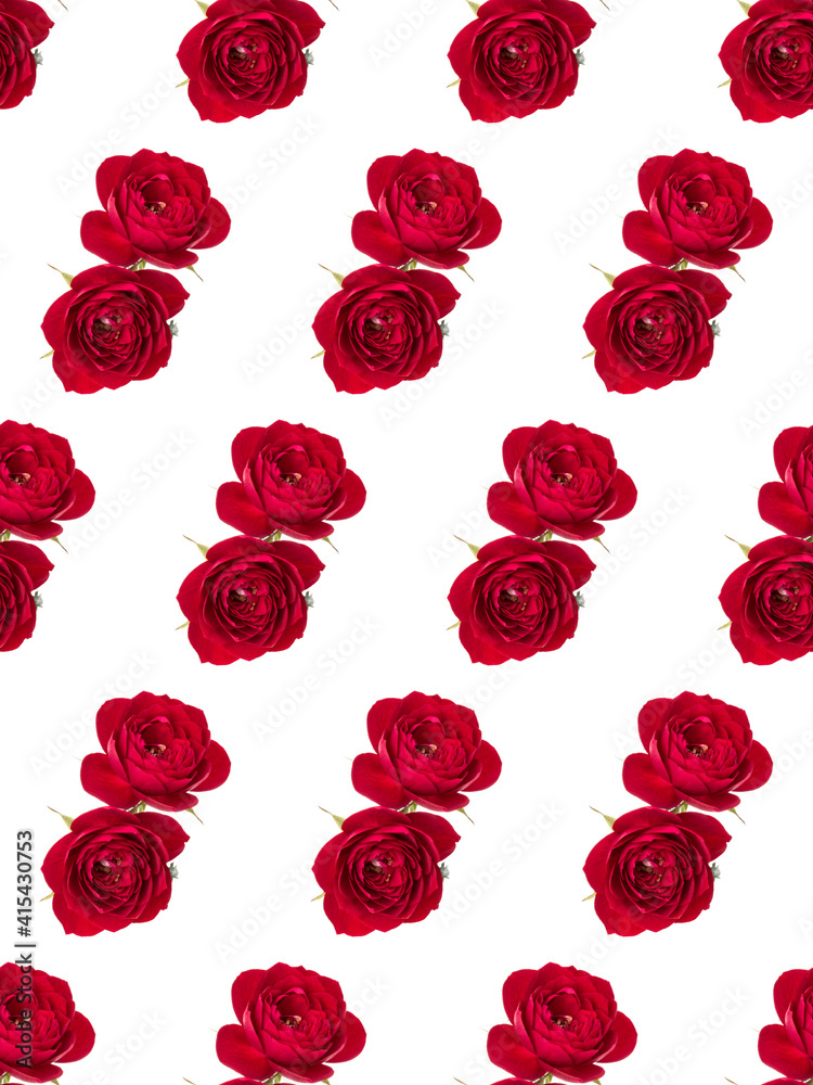 two red rose flowers isolated over white background cutout. Floral seamless pattern..