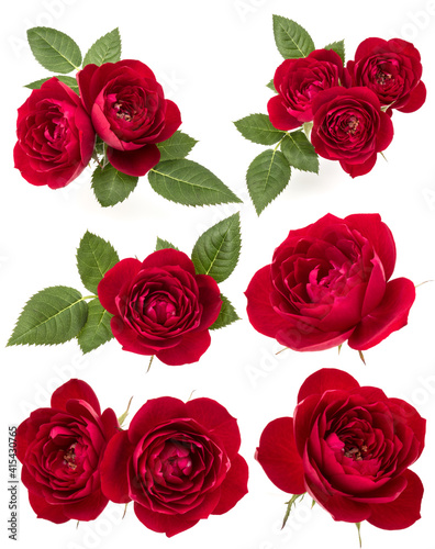 Collection of red roses isolated on white background. Set of different bouquet. Flat lay  top view.