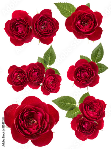 Collection of red roses isolated over white background. Set of different bouquet. Flat lay  top view..
