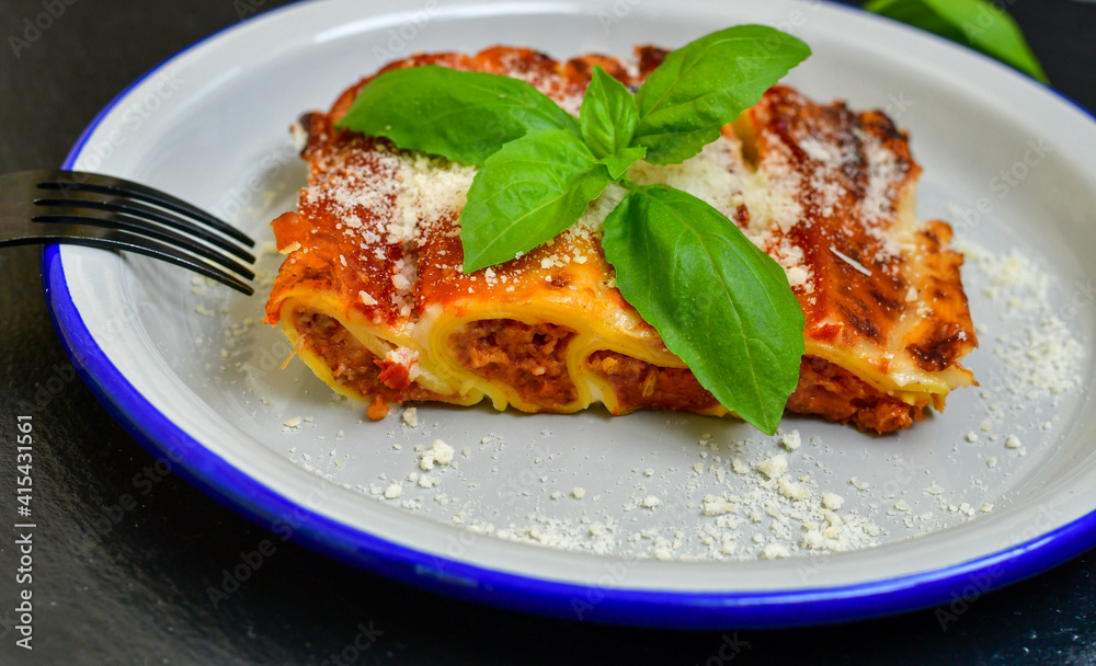 Cannelloni bolognese and parmesan cheese on a wooden rustic background.Home made italian meal
Cannelloni bolognese and parmesan cheese on a wooden rustic background.Home made italian meal