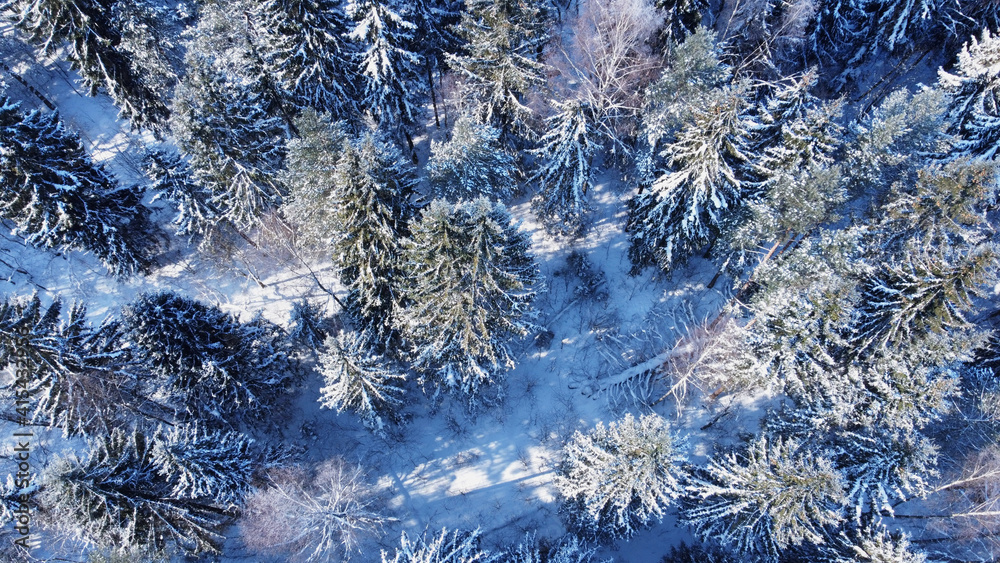 Aerial view of winter forest. Pines and spruce winter background. Winter landscape from the air. Natural forest background with drone.
Winter forest.
