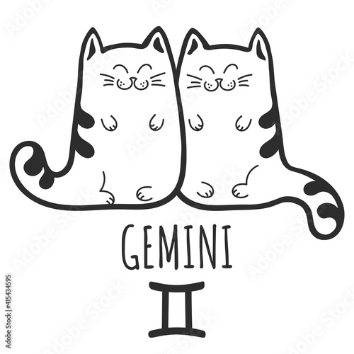 Gemini sign of the zodiac, Cat zodiac, Astrological Sign. Cat horoscope. Zodiac of pets. The hand drawing is isolated on a white background