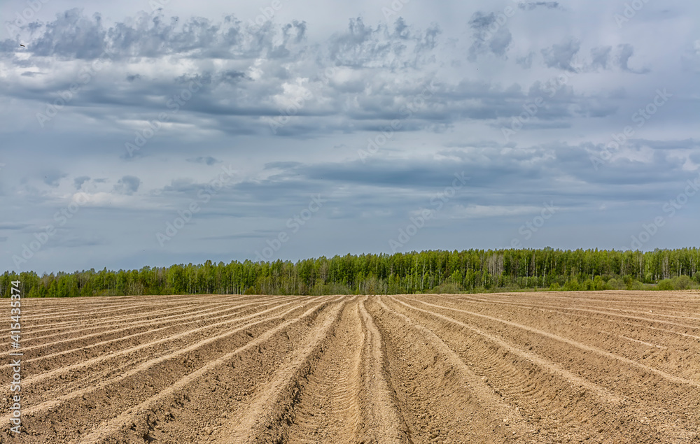 Agricultural work in the field in spring. Agricultural work in the field in spring.