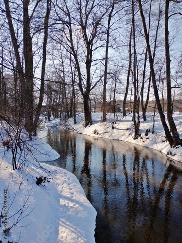 a winter landscape a river flows among the snow-covered shores, tall trees on the shore that reflect in the water