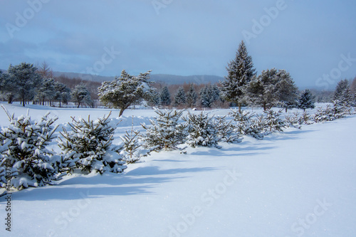 Wallpaper Mural Winter landsacape on the countryside Torontodigital.ca