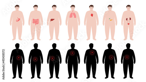 Organs in obese human body