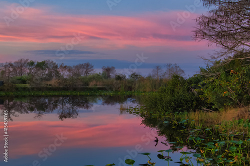 Before the dawn at Loxahatchee 