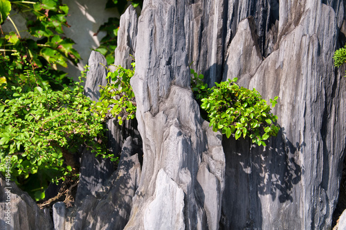 Photography the lingering garden in suzhou china
