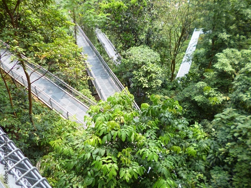 Mount Faber trail 