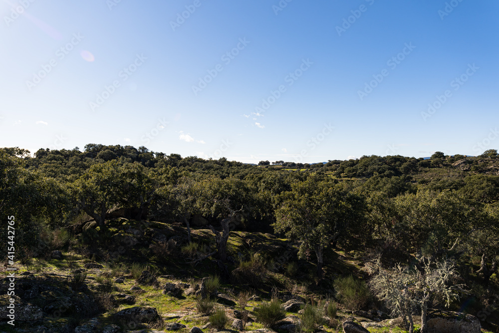 Typical scenery of the countryside in Extremadura, a rural region in the west part of Spain. Typical scenery of the countryside in Extremadura, a rural region in the west part of Spain.