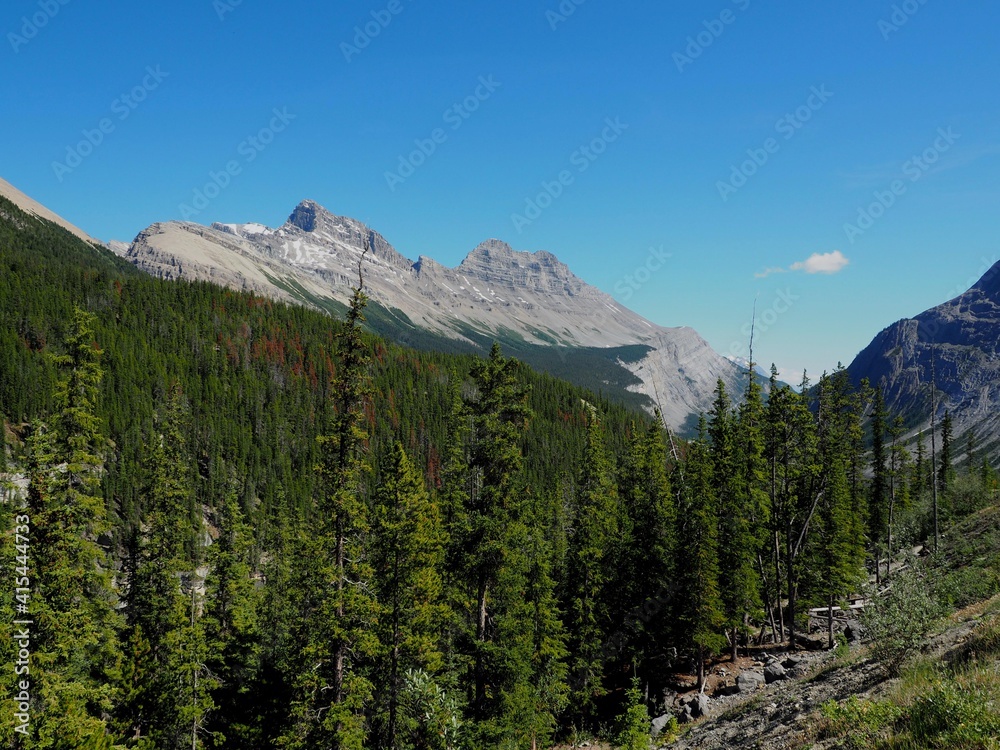 Near Sunwapta Pass on Icefield Parkway at Banff National Park Alberta Canada OLYMPUS DIGITAL CAMERA Near Sunwapta Pass on Icefield Parkway at Banff National Park Alberta Canada OLYMPUS DIGITAL CAMERA