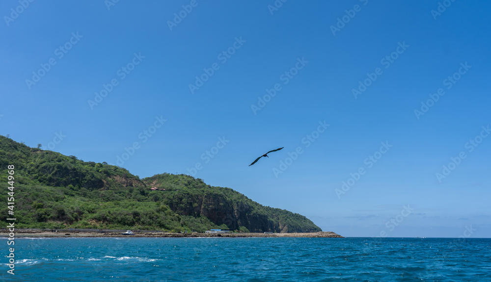 Fototapeta premium seagull flying over the sea