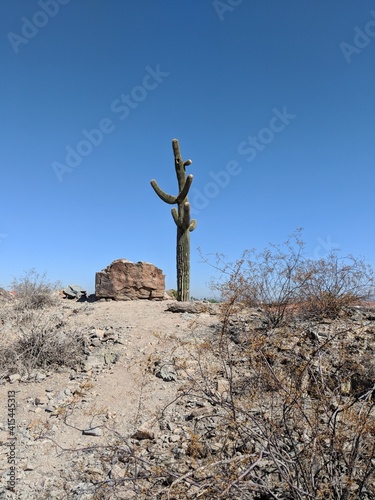 Survivors of Climate Change